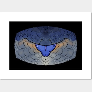 Shingleback Skink Mask Posters and Art